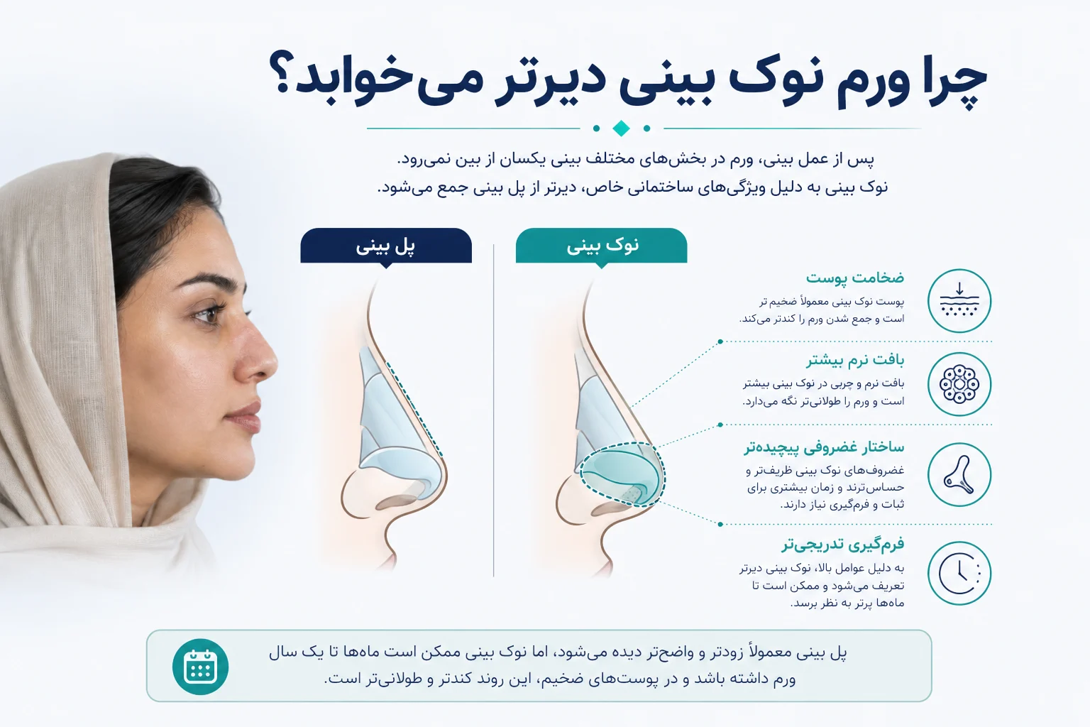 اینفوگرافیک توضیح علت دیرتر کاهش یافتن ورم نوک بینی نسبت به پل بینی